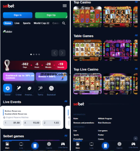 海外电子/电子游戏源码/内置游戏